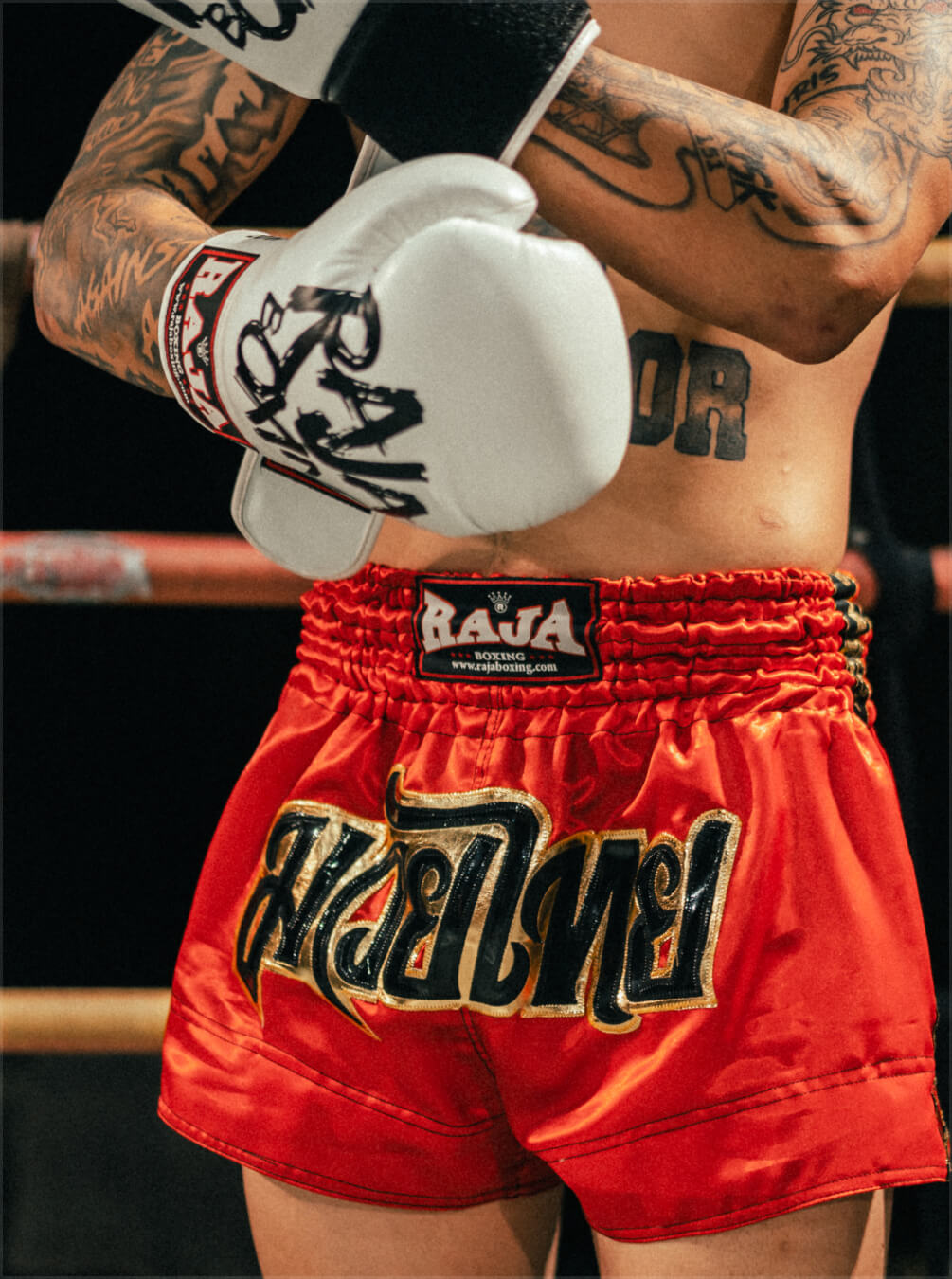 boxer